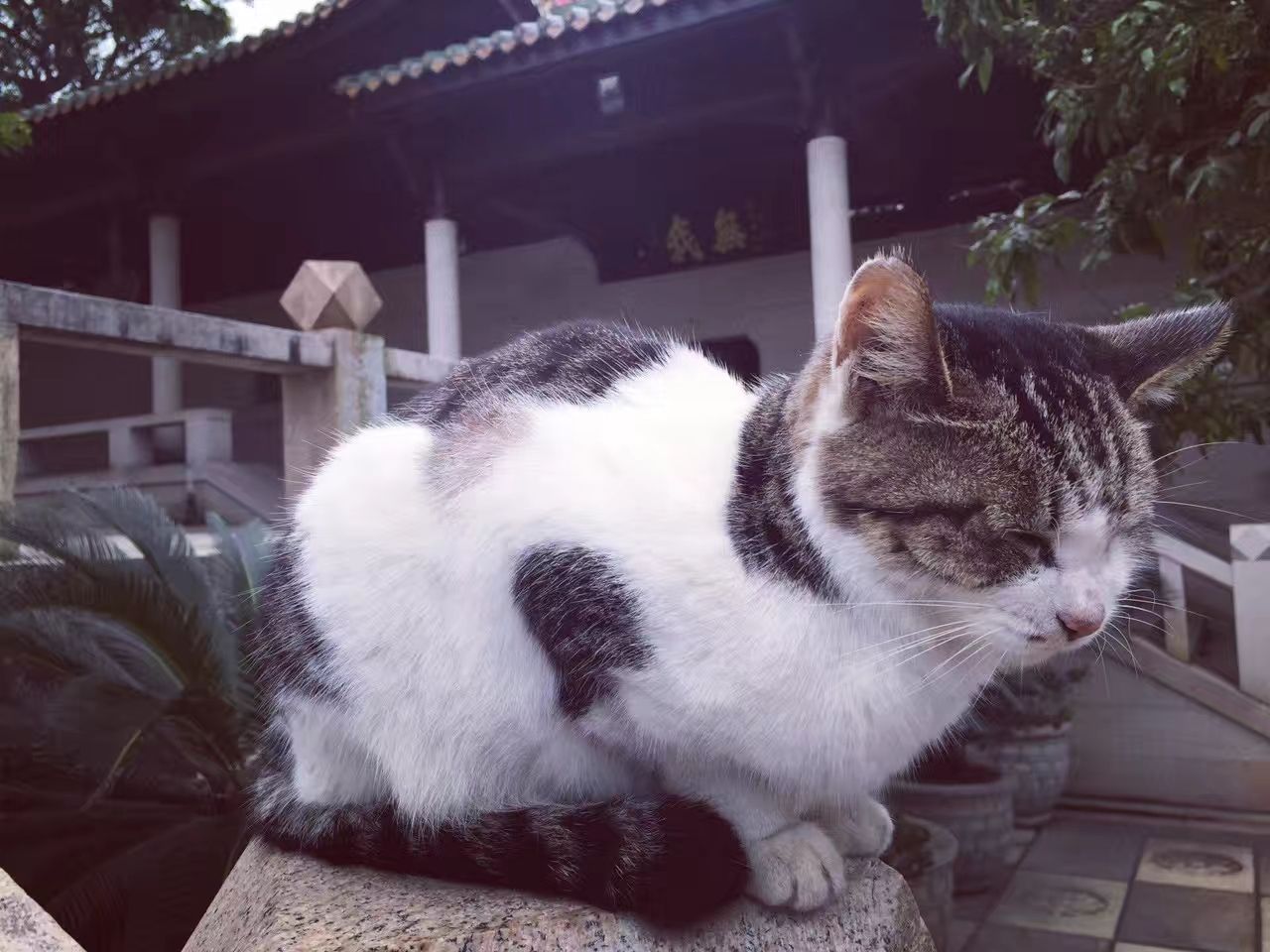 山西芮城清凉寺