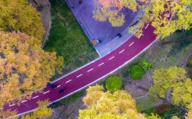 生态体验游步道