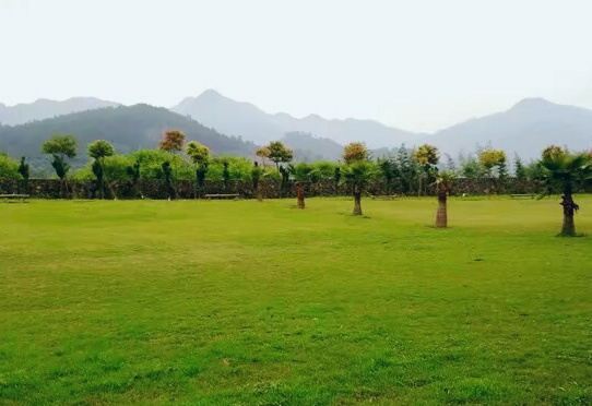 千江月休闲农场