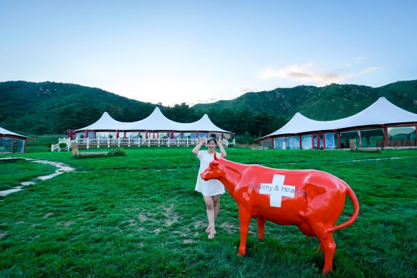 北京到瑞士最短的距离-海坨山谷亚洲最大房