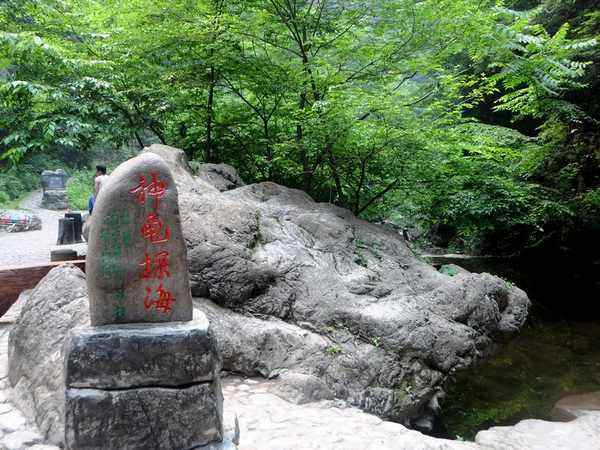 神龟探海