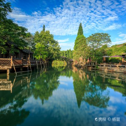 浙江乌镇东栅+南浔古镇纯玩跟团1日游【江南水乡，随心畅游】