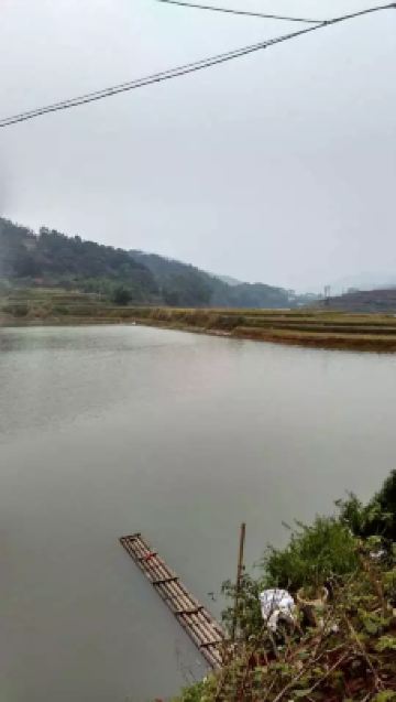 绿珠井-博白-_wech****77778