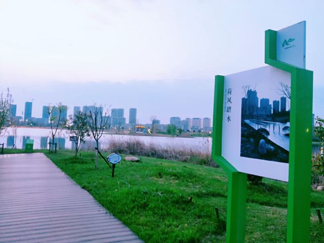 三山区西湖湿地公园