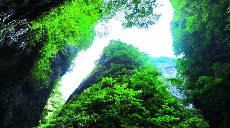 金丝峡景区