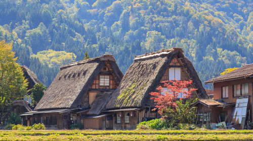 琵琶湖 金泽 白川乡一日游 大阪京都至飞騨高山关西出发单程巴士 漫游白川乡 线路推荐 携程玩乐 琵琶湖 金泽 白川乡一日游 大阪京都至飞騨高山关西出发单程巴士 漫游白川乡 线路推荐 携程玩乐