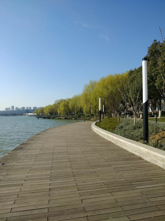 台北大佳河滨公园攻略,台北大佳河滨公园门票/游玩攻略/地址/图片