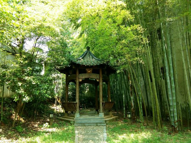 南昌梅岭竹海明珠攻略,南昌梅岭竹海明珠门票/游玩攻略/地址/图片