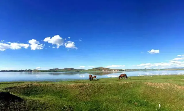 100f160000010f7k591C9.webp