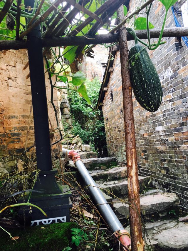 连山鹿鸣关攻略,连山鹿鸣关门票/游玩攻略/地址/图片/门票价格【携程