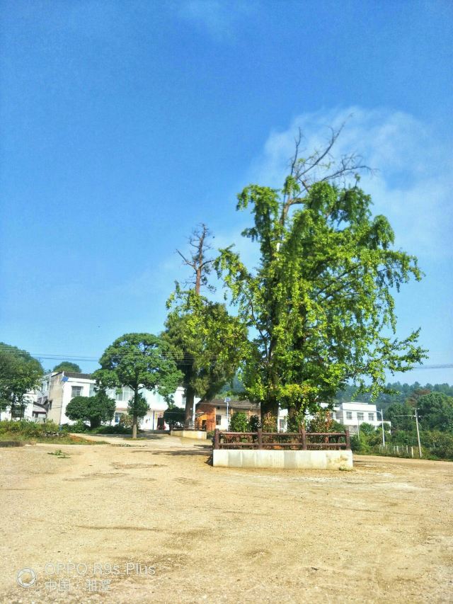 湘潭县湘潭隐山 攻略,湘潭县湘潭隐山 门票/游玩攻