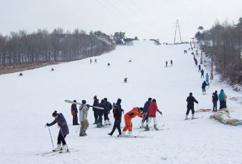 哈尔滨霜雪滑雪场一日游【往返旅游大巴车】