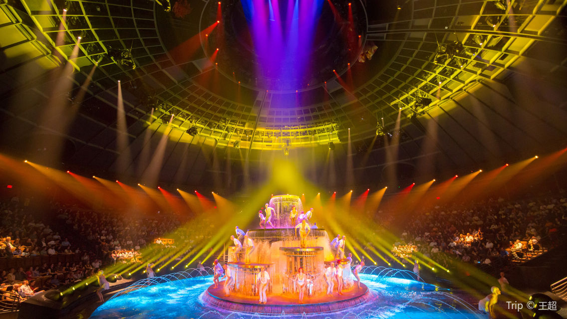 "O" by Cirque Du Soleil Show Ticket Las Vegas