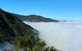 薄竹山天气预报