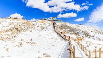 VCG211170532229