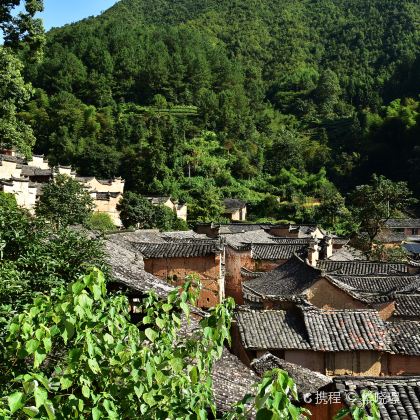 松阳杨家堂村【包车游】松庄村+石门圩廊桥+陈家铺村+松阳老街