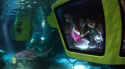 迪拜乐园submarine adventure