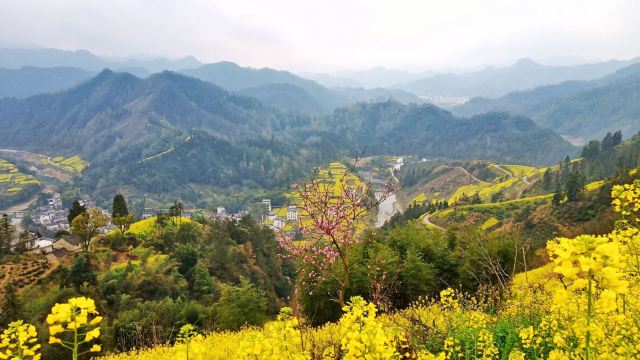 歙縣石潭村攻略,歙縣石潭村門票/遊玩攻略/地址/圖片/門票價格【攜程