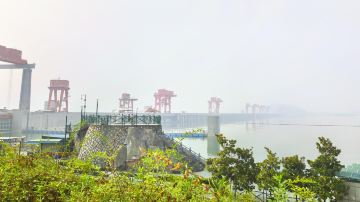 _DSC9263
