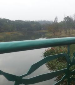 长兴岛经济区旅游游记,长兴岛经济区游记攻略