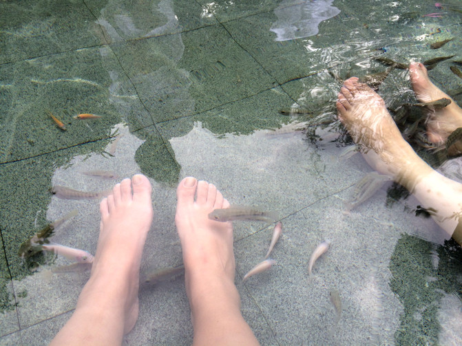 鱼鲊温泉图片