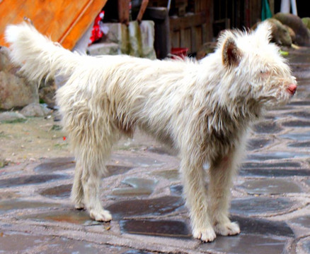 游贵州青山绿水,感受黔之风土人情