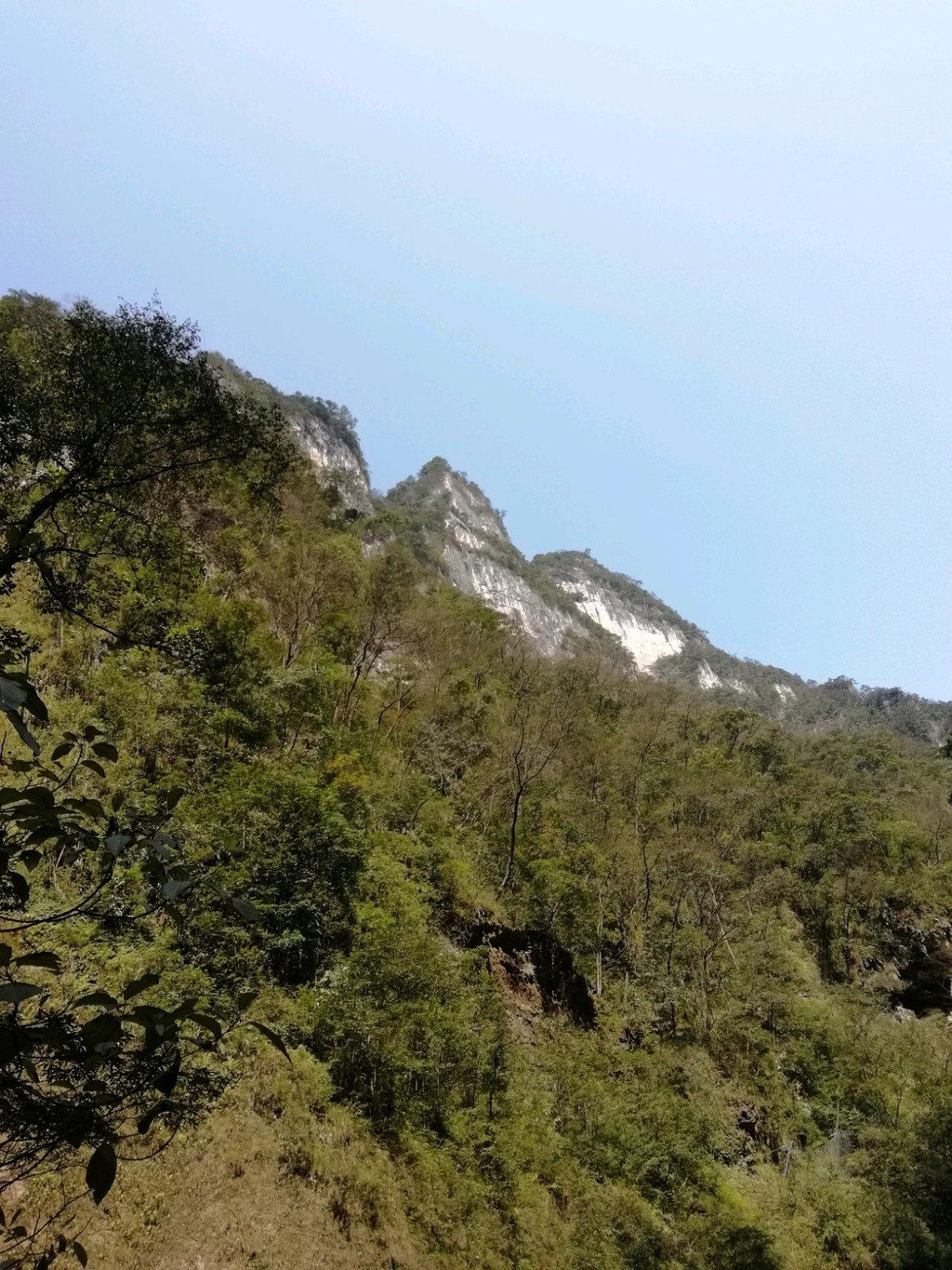  抬頭看山頂,感覺很高,海拔1200米