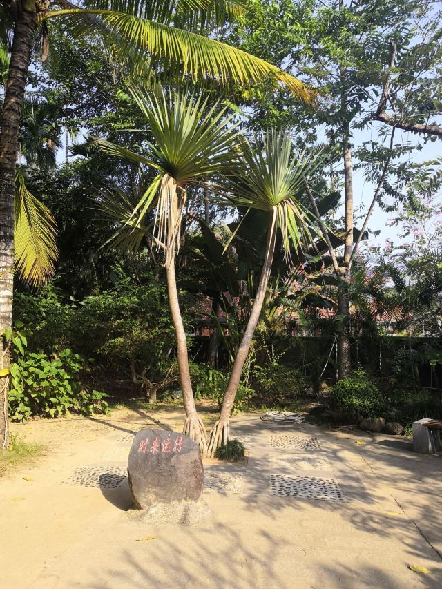 兴隆南药植物园