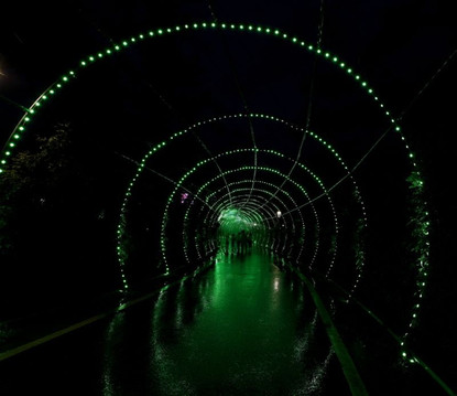 微游苏州新去处——大阳山"星亮夜",菖蒲茶庄