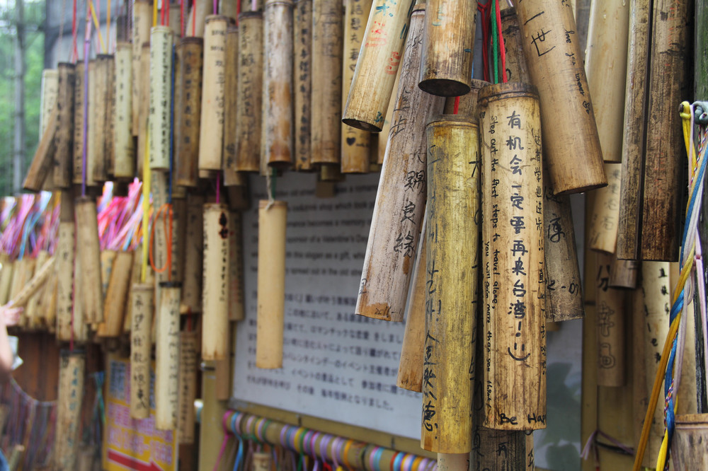 我和我自己的影子 温柔了岁月惊艳了时光台北7日游 台北游记攻略 携程攻略