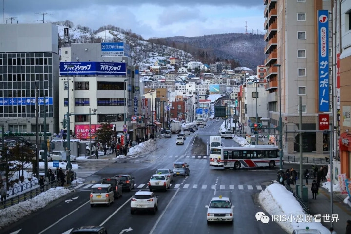 日本|北海道|飘雪的那一刻,我雀跃的像个从没见过雪的南方孩子