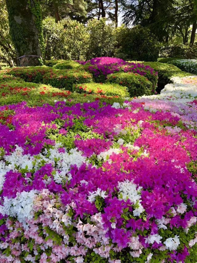 调布市神代植物公园攻略 调布市神代植物公园门票 游玩攻略 地址 图片 门票价格 携程攻略 调布市神代植物公园攻略 调布市神代植物公园门票 游玩攻略 地址 图片 门票价格 携程攻略