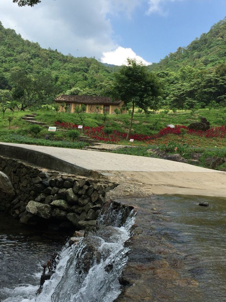 從化碧水灣溫泉度假村,石門森林公園自駕遊