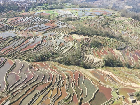 老鹰嘴梯田