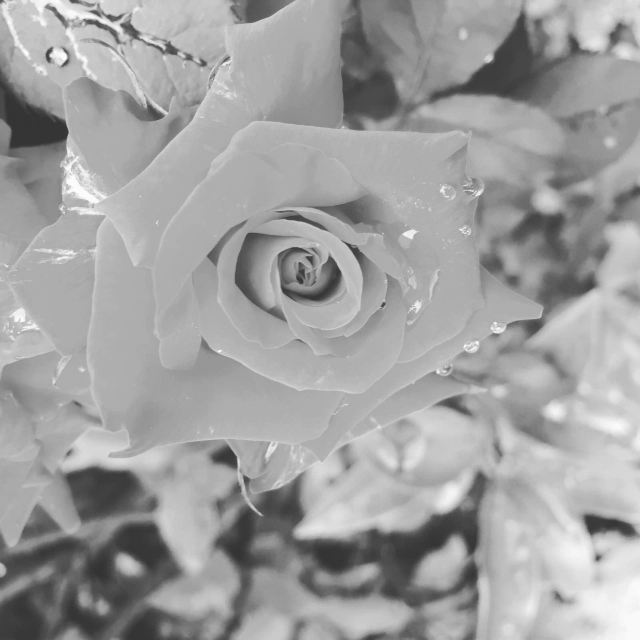 臭美女神的日常之又懒四月又浪五月