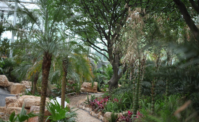 灵珠山植物园