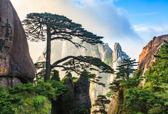 安徽黄山黄山风景区一日游【纯玩包车+上门接送+车型自选】【[上门接送]黄山市区（屯溪）范围内酒店均可上门接送，方便省心！】