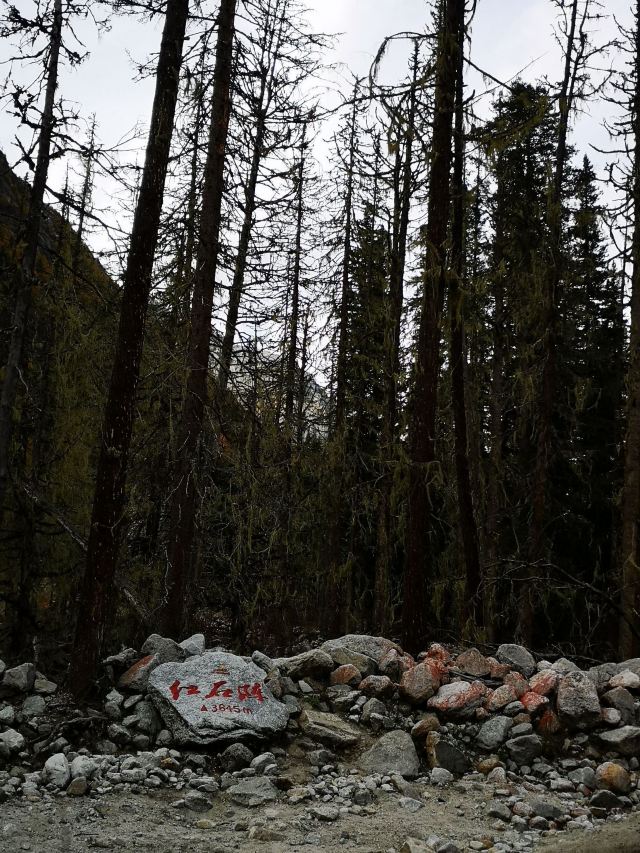 四姑娘山红石阵攻略,四姑娘山红石阵门票/游玩攻略/地址/图片/门票