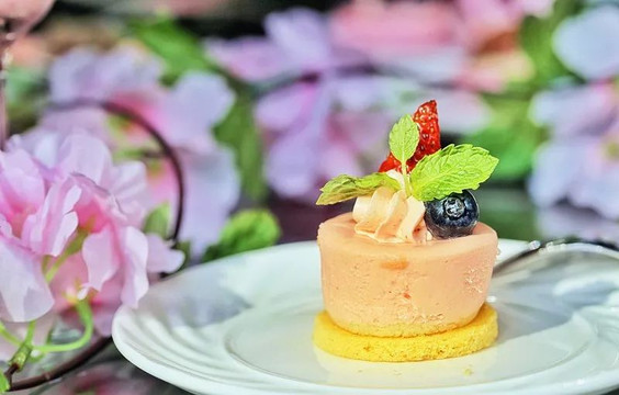 邂逅·时光,与ta共赴一场粉红色的少女梦