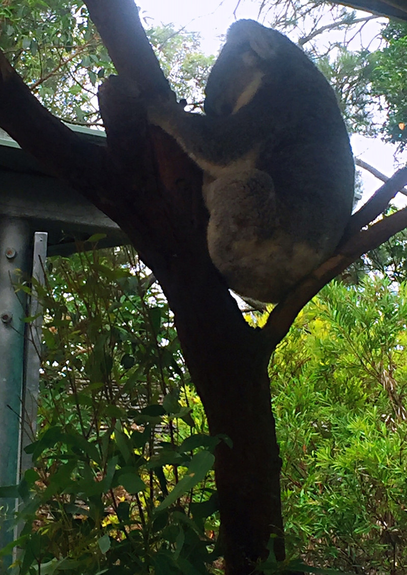 100m12000000rzu61763F_R_800_10000_Q90.jpg?proc=autoorient