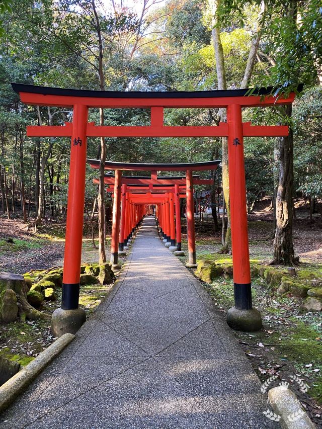 橿原市橿原神宫攻略 橿原市橿原神宫门票 攻略 地址 图片 门票价格 携程攻略 橿原市橿原神宫攻略 橿原市橿原神宫门票 攻略 地址 图片 门票价格 携程攻略