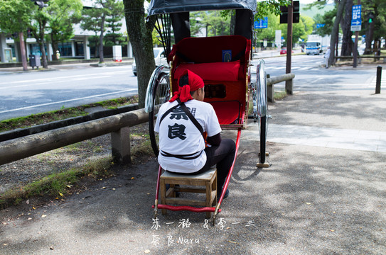 奈良也有很多人力车,在东京也是这样,似乎各个城市都有这样的人力车夫