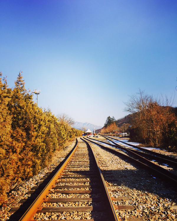 winter sonata #韩国~江原道~龙平滑雪场~春川~南怡岛~小法兰西~江陵