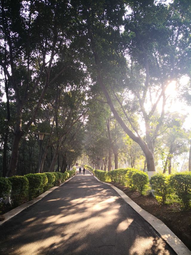 攀枝花攀枝花公園攻略,攀枝花攀枝花公園門票/遊玩攻略/地址/圖片