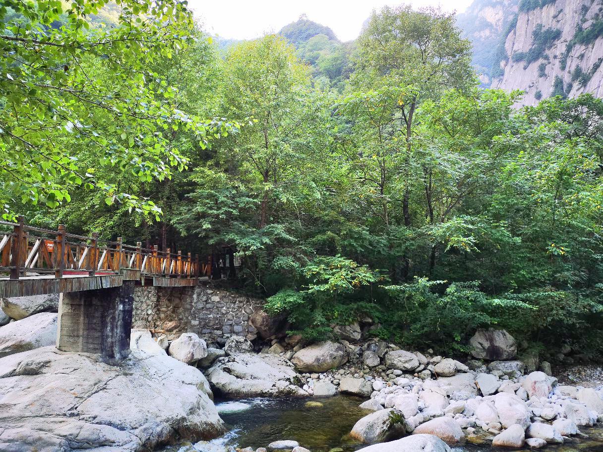 青峰峡森林公园