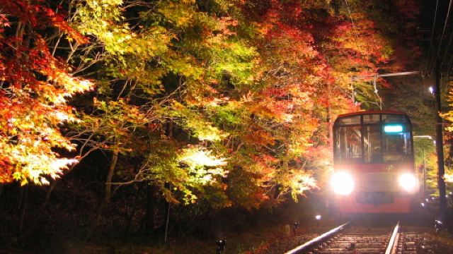 睿山电车红叶隧道
