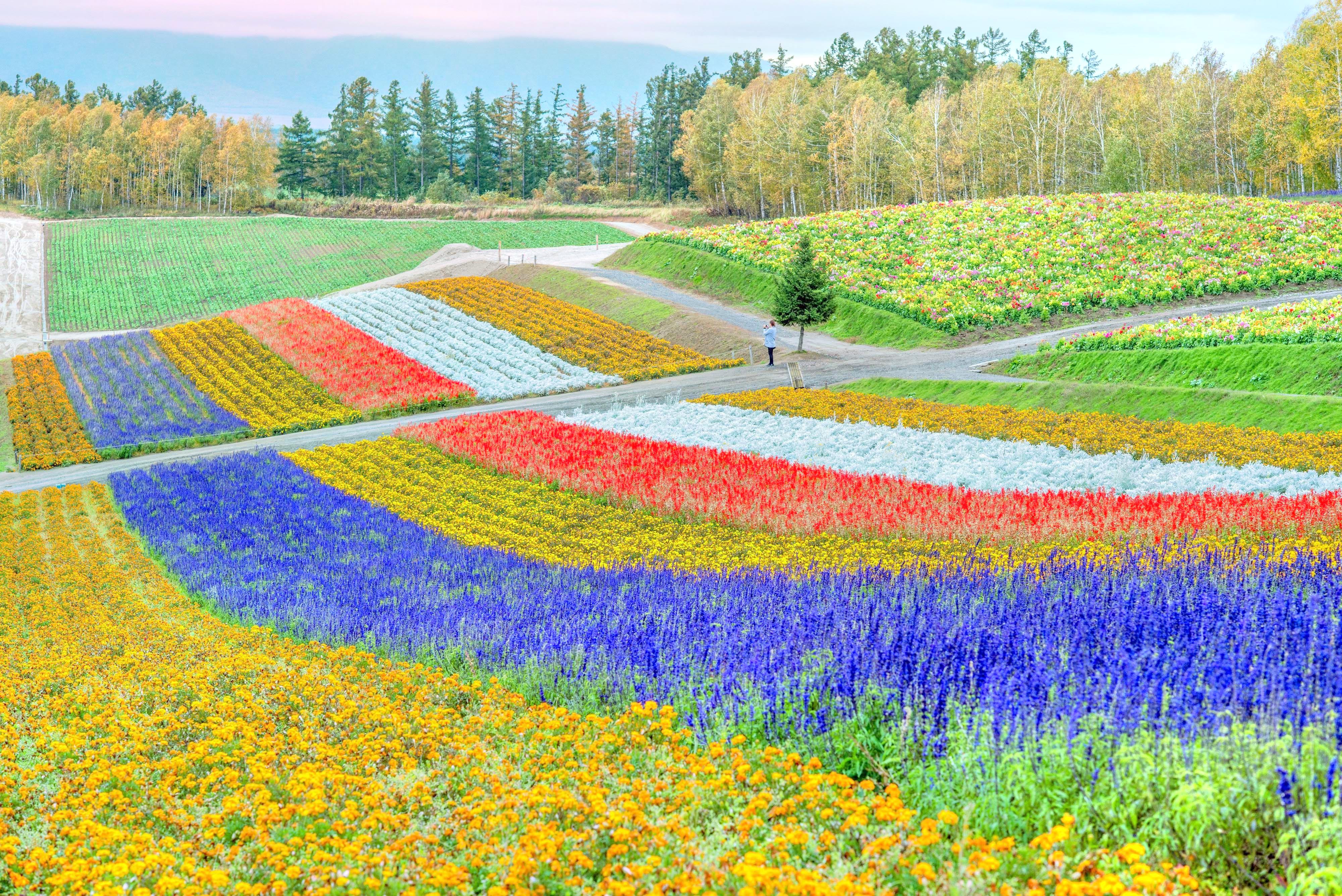 四季花海景区