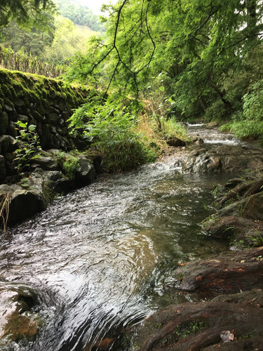 杭州九溪十八涧