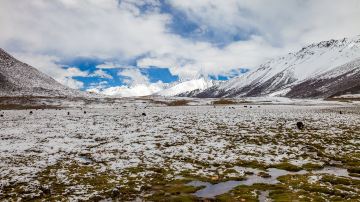 西藏-安久拉山