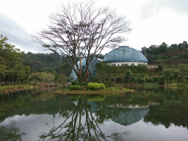 惠州丰山攻略,惠州丰山门票/游玩攻略/地址/图片/门票价格【携程攻略